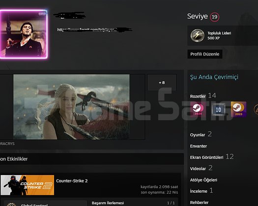 cs2 faceit 10lvl - 7 madalya - 2000 saat + 19lvl