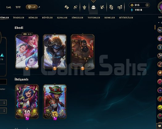 TR + 533LVL 228 SKİN DOLU