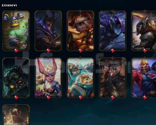 TR + 533LVL 228 SKİN DOLU