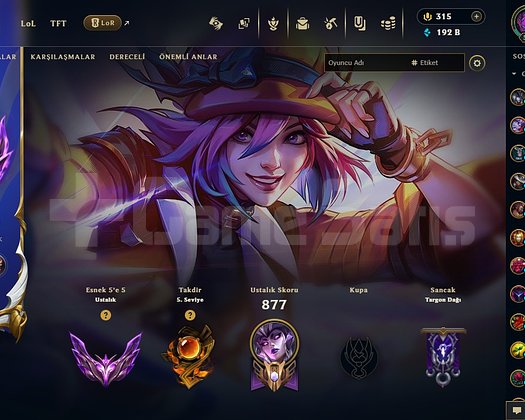 TR + 533LVL 228 SKİN DOLU