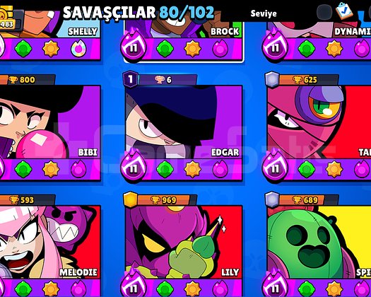 30 k Brawl stars hesabı