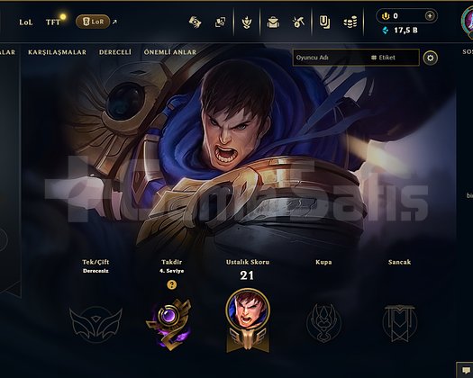 25 Lvl lol hesap 14 kutu 17,5 öz