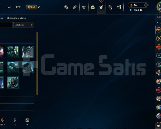 LOL+VALO 239 KOSTÜM 55 KAPLAMALI DOLU HESAP