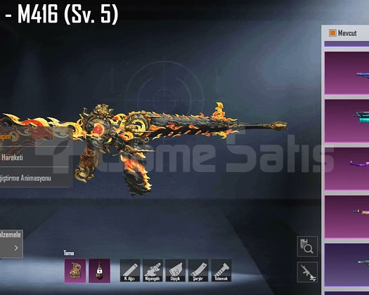 2 xsuit, siber kedi p90, m4 5 seviye