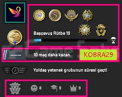 FACEİT+6 MADALYA 352 WİN 652 SAAT SEÇKİN