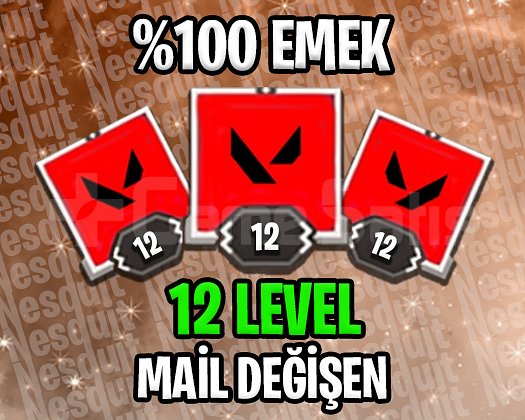TR - 12 LEVEL - MAİL DEĞİŞEN - HESAPLAR!