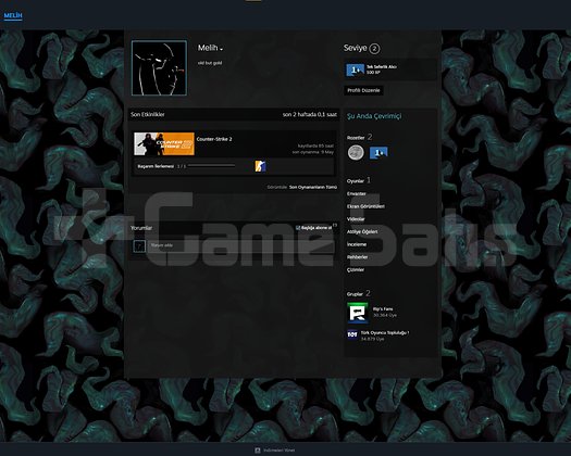 CS 2 SEÇKİN UNRANKED RANK KASMALIK HESAP
