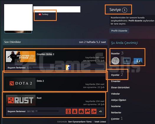 8 MADALYALI 21 LV FACEİT İLK ÖDEME ALAN KİŞİ YAPIC