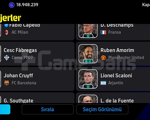 Oyunun sefiri