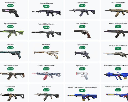 80 PREMİUM TR ACCOUNT