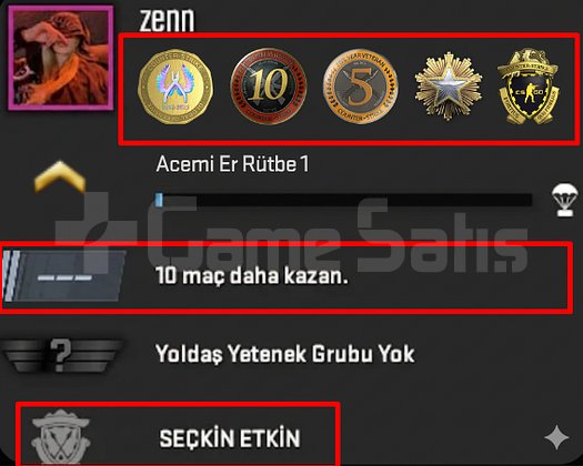 CS2 - 5 MADALYA - 180 SAAT - MAİNLİK HIZLI TESLİM!