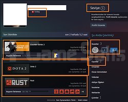 RUST Quake Live 2250 TL STEAM OYUN ENVANTERLİ MAİL