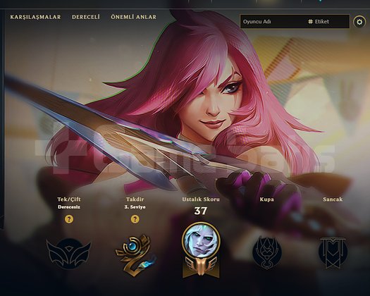 TR HANDMADE UNRANKED 2 SKIN GÜZEL HESAP