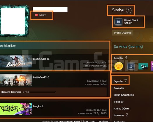 Battlefield 6 Need for Speed Heat 8600 TL STEAM