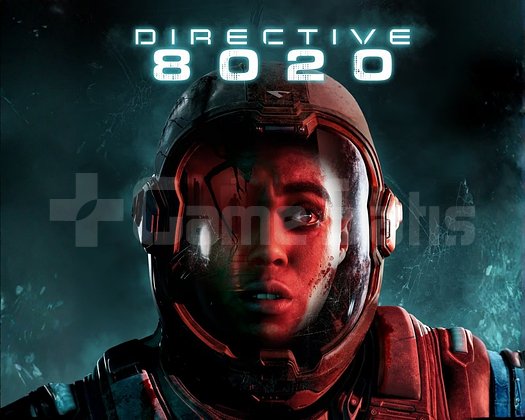 Directive 8020 PS5 + Garanti