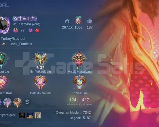 mobile legends cok temız hesap koleksıyoner5