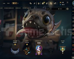 EUW 309 LEVEL MAİLLİ 77 SKİNLİ FRESH HANDMADE !!!!