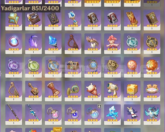 85x5 Dodo Kanatlı