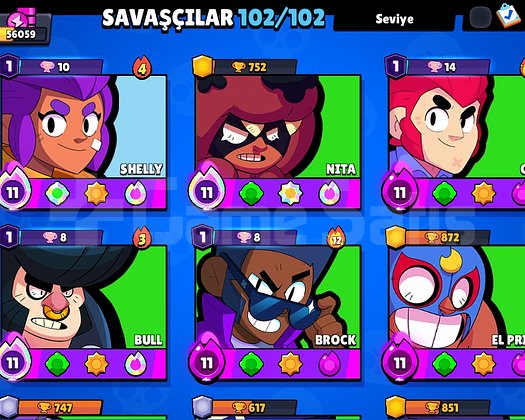 56k kupa+2000 elmas full hesap