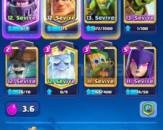 6.8K KUPA 4 EVRİM 3 YILLIK CR
