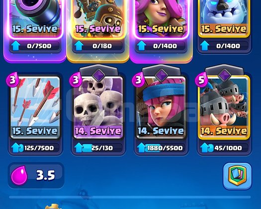 10.2K KUPA 8 EVRİM 4 YILLIK CR