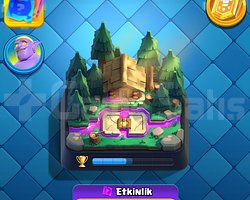 10.2K KUPA 8 EVRİM 4 YILLIK CR