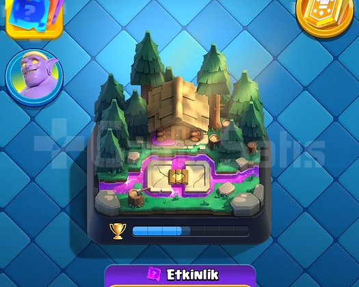 10.2K KUPA 8 EVRİM 4 YILLIK CR