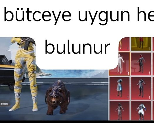 Her bütçeye uygun bulunmaktadır