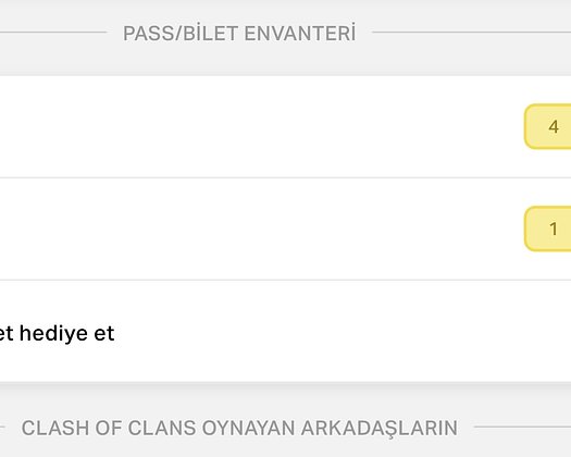 Max+max bilet ve taş dolu hesap