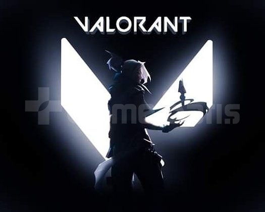 VAORANT MAIL DEGISEN 160-300 SKINLI HESAP