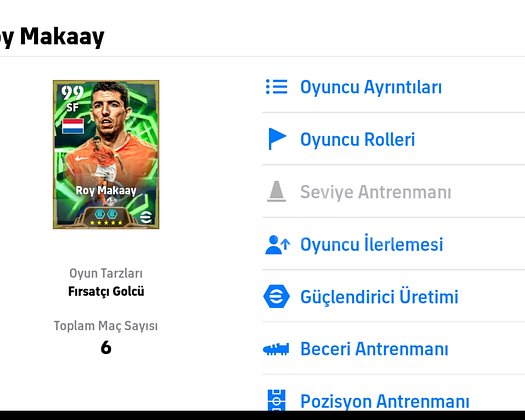 106 Roy maakay açık satılık