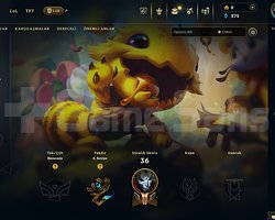 EUW Unranked | 8 Kostüm - 48 Hero | LoL