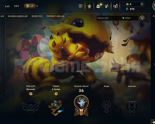 EUW Unranked | 8 Kostüm - 48 Hero | LoL
