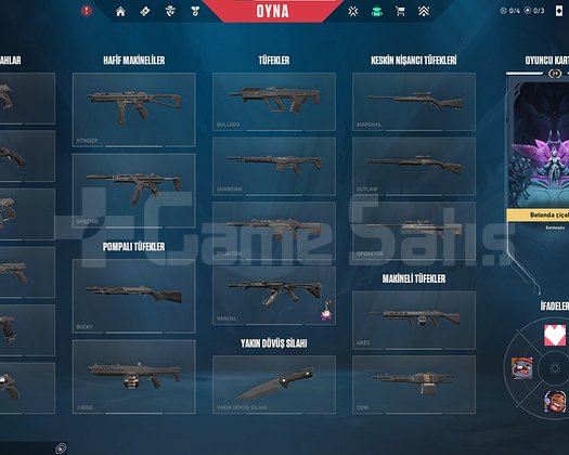 Plat 1 hesap sadece yağmacı vandal vardır