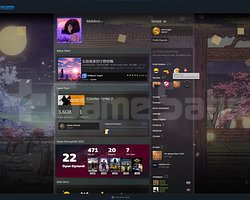 80 Level 22 Yıllık Steam Hesap 17 Eylül 2003