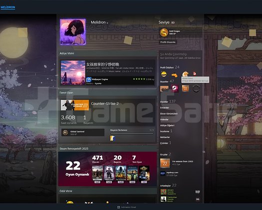 80 Level 22 Yıllık Steam Hesap 17 Eylül 2003