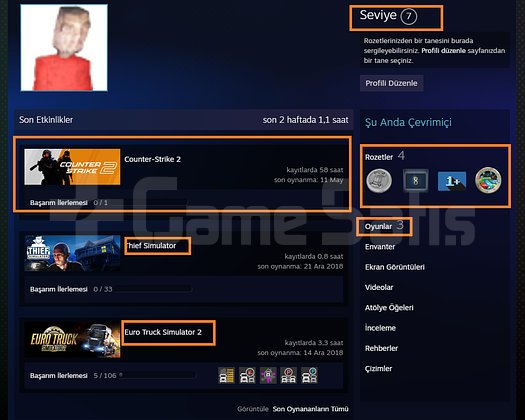 TR HESAP + 3 MADALYA+7LVL STEAM+ETS2 MAİNLİK HESAP