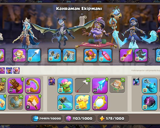 Max sağlam ekipmanli koy
