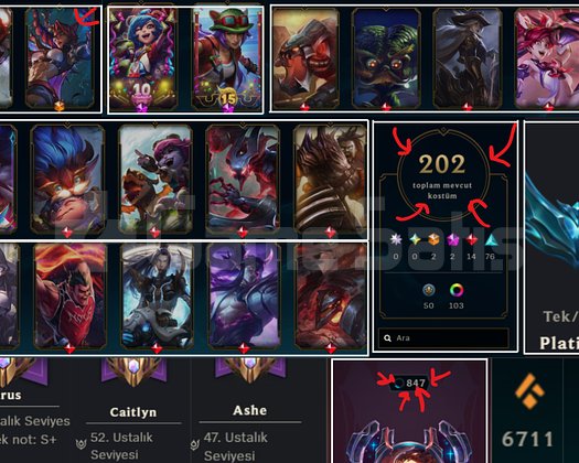 847 LEVEL 202 KOSTÜM 1.7 MİLYON VARUS