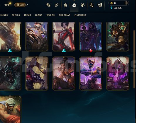 YUKSEK LP GAINLI TR MASTER HESAP
