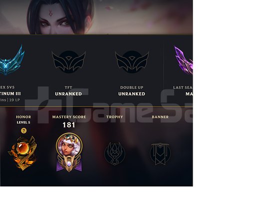 YUKSEK LP GAINLI TR MASTER HESAP