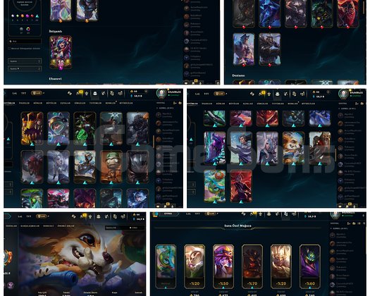 73 Skin elementalis lux