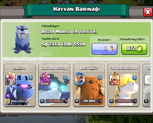 16 lvl belediye savunma ve diğer yükseltmeler full