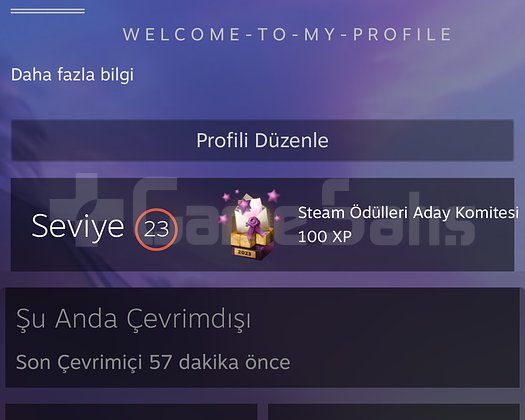 Steam kişisel hesap