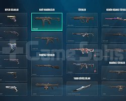YÜCELİK 1 13 mağaza skinli dolu hesap