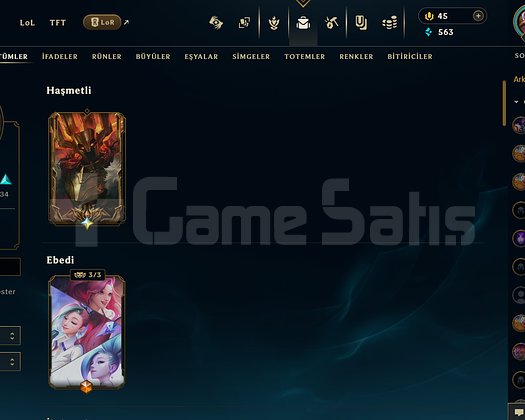 ACİL OLARAK SATIYORUM FULL CHAR+MAİL+TEL