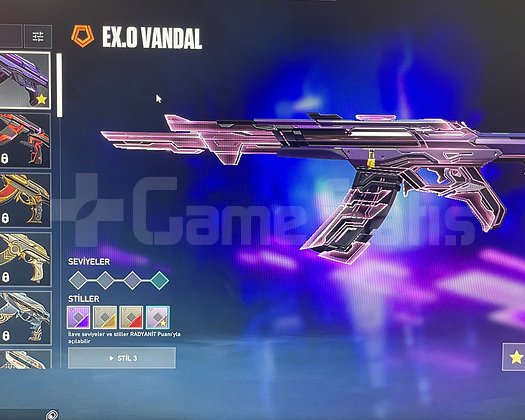 Sağlam 2 vandallı