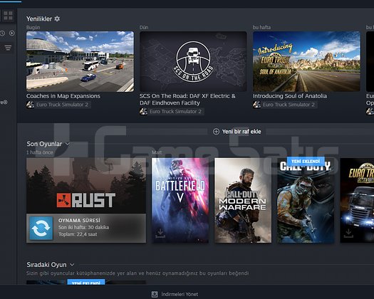 STEAM HESABI