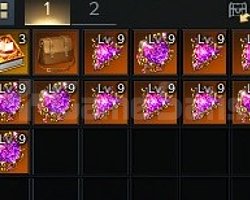 9 LEVEL SET GEM