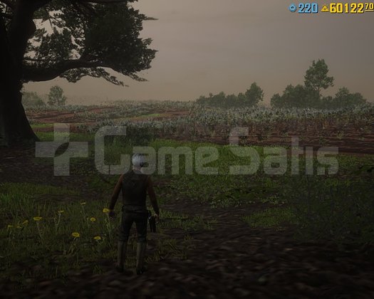 RDR 2 60.000 GOLD +910 LEVEL +5.000.000 +İLK MAİL